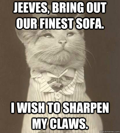 Jeeves, bring out our finest sofa. I wish to sharpen my claws.  Aristocat