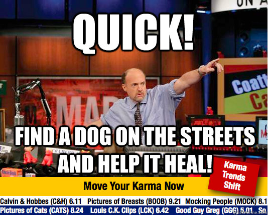 Quick! Find a dog on the streets and help it heal! - Quick! Find a dog on the streets and help it heal!  Mad Karma with Jim Cramer