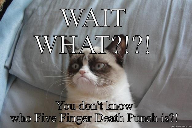 WAIT WHAT?!?! YOU DON'T KNOW WHO FIVE FINGER DEATH PUNCH IS?! Grumpy Cat