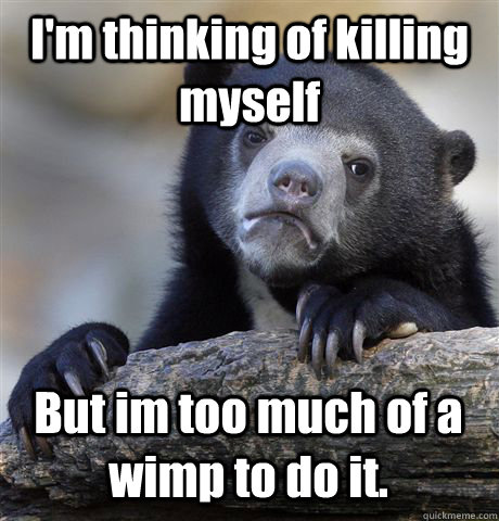 I'm thinking of killing myself But im too much of a wimp to do it. - I'm thinking of killing myself But im too much of a wimp to do it.  Confession Bear