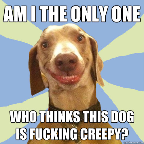 Am I the only one Who thinks this dog is fucking creepy?  Disgusting Doggy