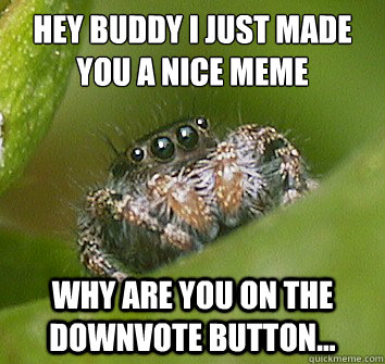 Hey buddy I just made you a nice meme why are you on the downvote button...  Misunderstood Spider