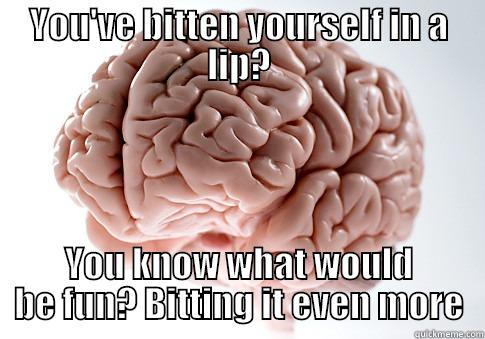 YOU'VE BITTEN YOURSELF IN A LIP? YOU KNOW WHAT WOULD BE FUN? BITTING IT EVEN MORE Scumbag Brain