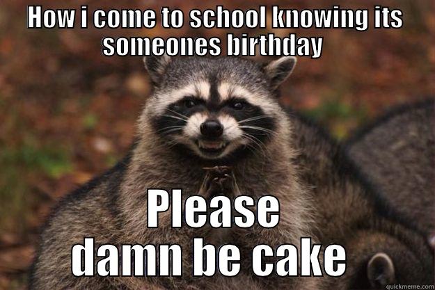 I want the food - HOW I COME TO SCHOOL KNOWING ITS SOMEONES BIRTHDAY  PLEASE DAMN BE CAKE  Evil Plotting Raccoon