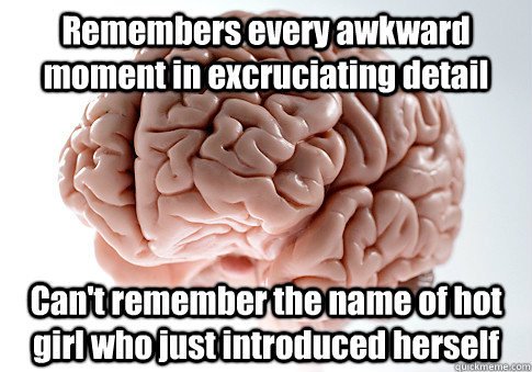 Remembers every awkward moment in excruciating detail Can't remember the name of hot girl who just introduced herself    Scumbag Brain