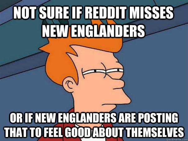 Not sure if Reddit misses New Englanders Or if New Englanders are posting that to feel good about themselves  Futurama Fry