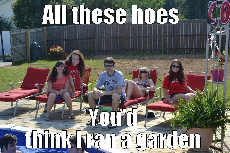 All these hoes .... - ALL THESE HOES  YOU'D THINK I RAN A GARDEN Misc