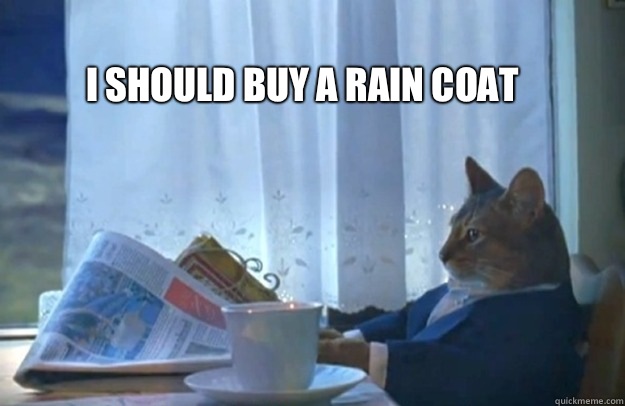 I should buy a rain coat  Sophisticated Cat