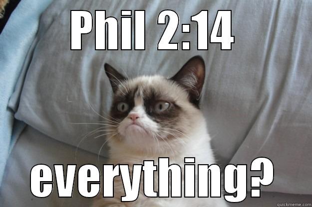 preach it - PHIL 2:14 EVERYTHING? Grumpy Cat