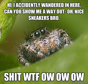 Hi, i accidently wandered in here, can you show me a way out- oh, nice sneakers bro. shit wtf ow ow ow  Misunderstood Spider