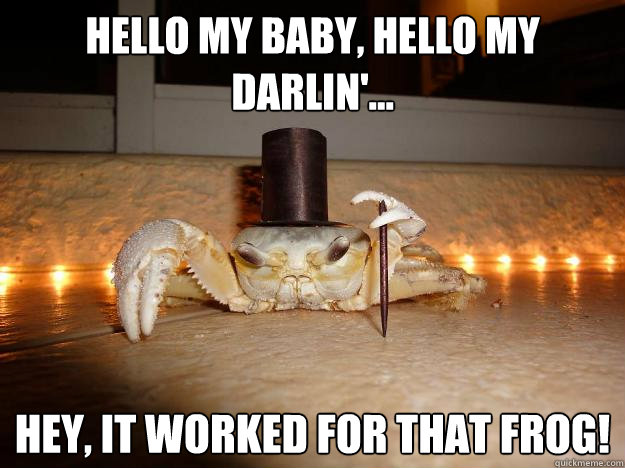 Hello my baby, hello my darlin'... Hey, it worked for that frog! - Hello my baby, hello my darlin'... Hey, it worked for that frog!  Fancy Crab