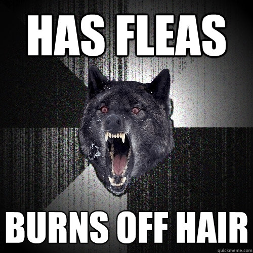 has fleas burns off hair  Insanity Wolf