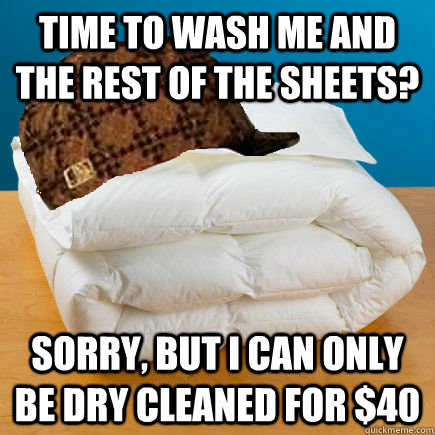 time to wash me and the rest of the sheets? Sorry, but I can only be dry cleaned for $40  Scumbag Comforter