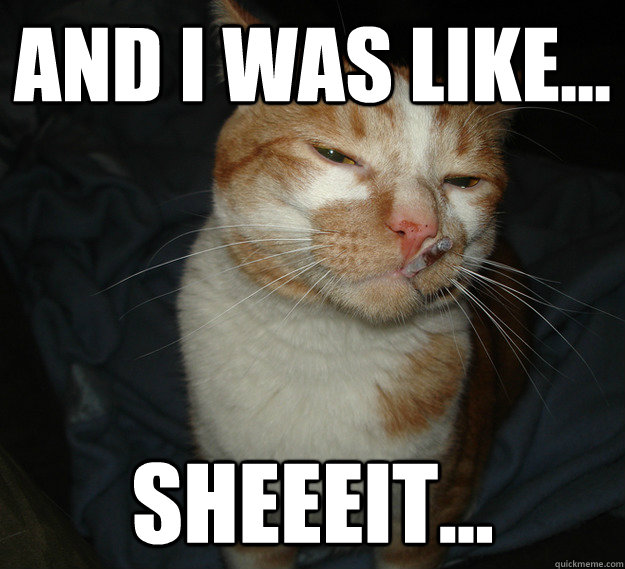 And I was like... Sheeeit... - And I was like... Sheeeit...  Cool Cat Craig