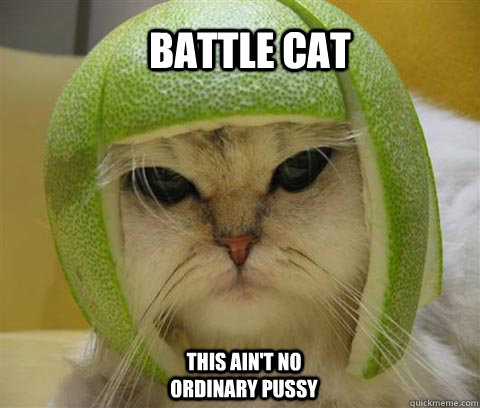 battle cat This ain't no ordinary pussy  