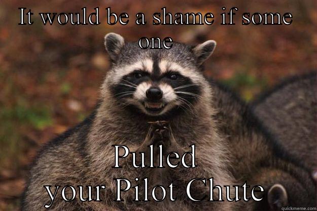 IT WOULD BE A SHAME IF SOME ONE PULLED YOUR PILOT CHUTE Evil Plotting Raccoon