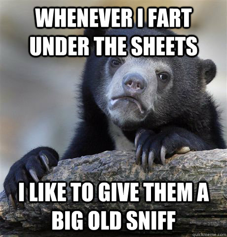 whenever i fart under the sheets i like to give them a big old sniff  Confession Bear