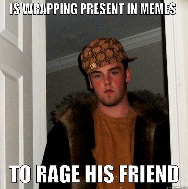 IS WRAPPING PRESENT IN MEMES    TO RAGE HIS FRIEND  Scumbag Steve