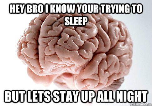 hey bro i know your trying to sleep  but lets stay up all night  Scumbag Brain