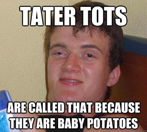 TATER TOTS ARE CALLED THAT BECAUSE THEY ARE BABY POTATOES  10 Guy