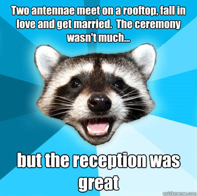 Two antennae meet on a rooftop, fall in love and get married.  The ceremony wasn't much... but the reception was great - Two antennae meet on a rooftop, fall in love and get married.  The ceremony wasn't much... but the reception was great  Lame Pun Coon