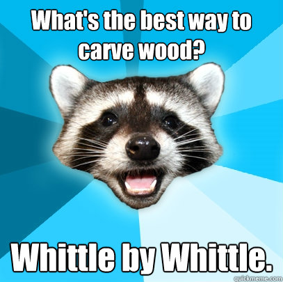 What's the best way to carve wood? Whittle by Whittle.   Lame Pun Coon