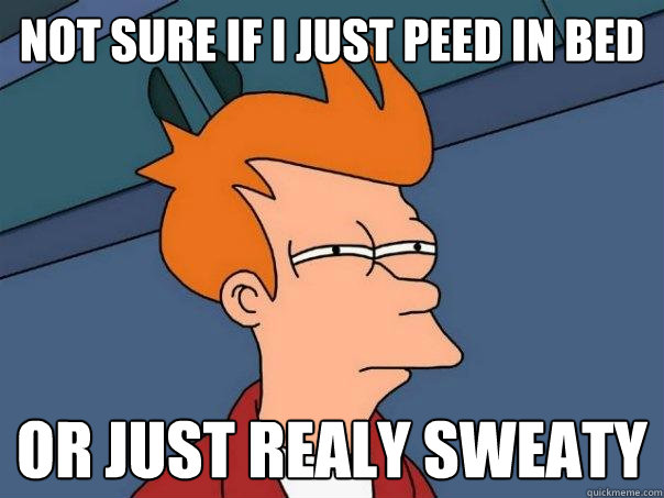 Not sure if i just peed in bed or just realy sweaty  Futurama Fry