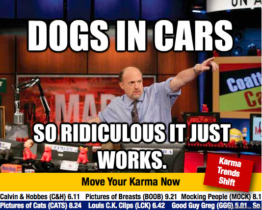 dogs in cars so ridiculous it just works.  Mad Karma with Jim Cramer