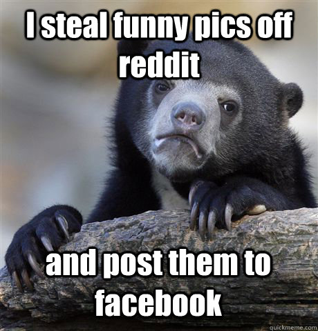 I steal funny pics off reddit and post them to facebook  Confession Bear