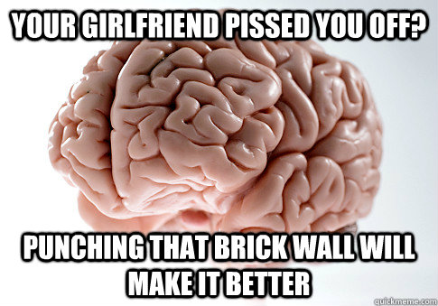 your girlfriend pissed you off? punching that brick wall will make it better  Scumbag Brain