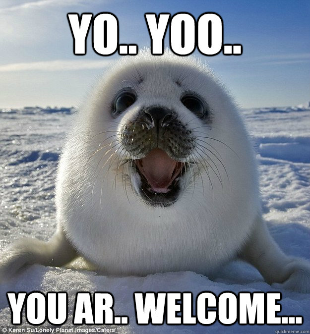 Yo.. Yoo.. You Ar.. welcome... - Yo.. Yoo.. You Ar.. welcome...  Over Excited Seal