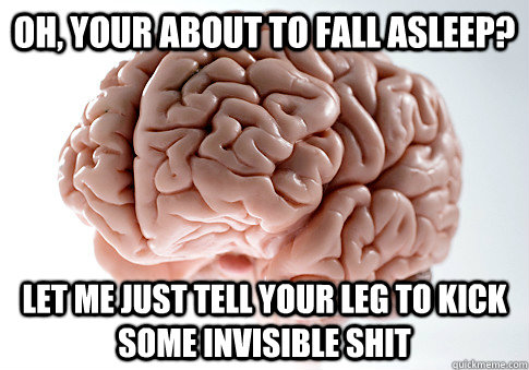 Oh, your about to fall asleep? Let me just tell your leg to kick some invisible shit  Scumbag Brain