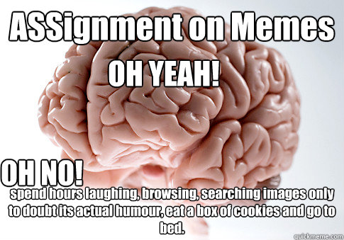 ASSignment on Memes spend hours laughing, browsing, searching images only to doubt its actual humour, eat a box of cookies and go to bed. OH YEAH! OH NO! - ASSignment on Memes spend hours laughing, browsing, searching images only to doubt its actual humour, eat a box of cookies and go to bed. OH YEAH! OH NO!  Scumbag Brain