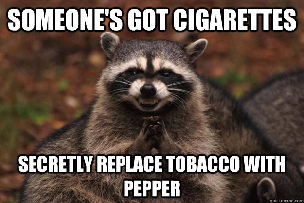 Someone's got cigarettes secretly replace tobacco with pepper  - Someone's got cigarettes secretly replace tobacco with pepper   Evil Plotting Raccoon