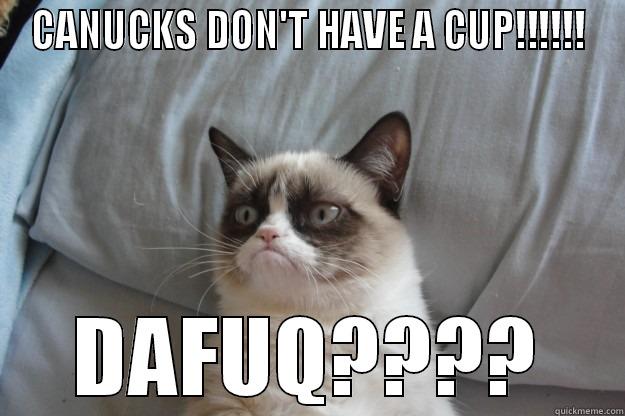 CANUCKS DON'T HAVE A CUP!!!!!! DAFUQ???? Grumpy Cat