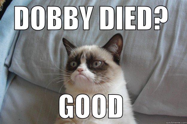 DOBBY DIED? GOOD Grumpy Cat