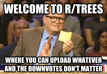 WELCOME to r/trees where you can upload whatever and the downvotes don't matter  Whose Line