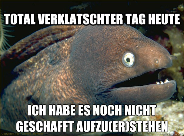 Total verklatschter Tag heute Ich habe es noch nicht geschafft aufzu(er)stehen  Bad Joke Eel