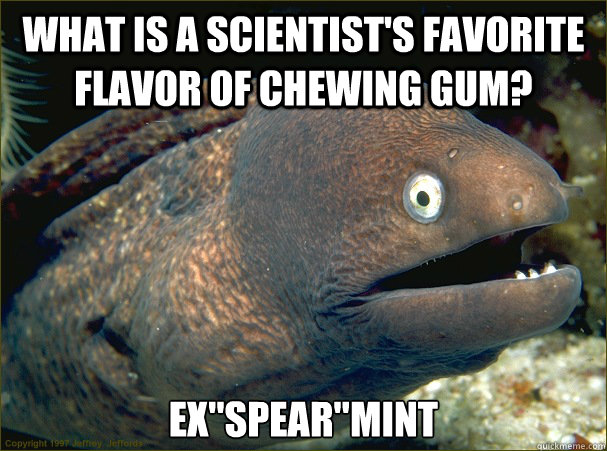 What is a scientist's favorite flavor of chewing gum? Ex