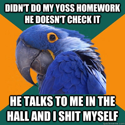 Didn't do my yoss Homework he doesn't check it he talks to me in the hall and i shit myself   Paranoid Parrot