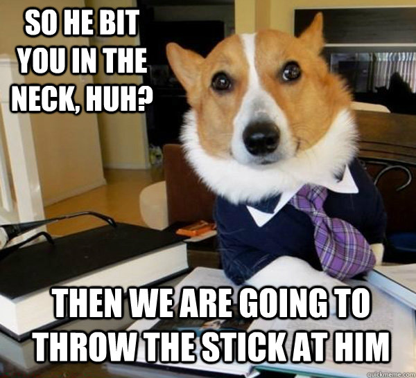 So he bit you in the neck, huh? Then we are going to throw the stick at him  Lawyer Dog