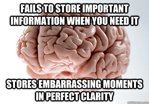 Fails to store important information when you need it Stores embarrassing moments in perfect clarity  Scumbag Brain