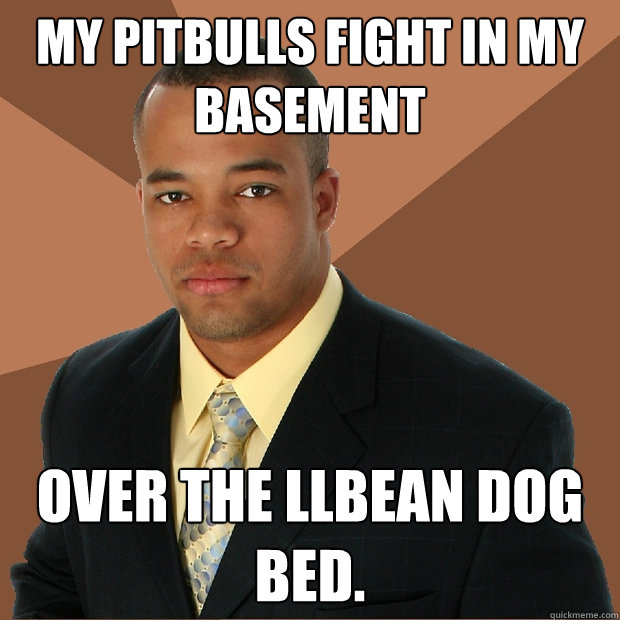 my pitbulls fight in my basement over the llbean dog bed.  Successful Black Man