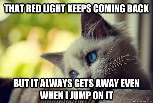 That red light keeps coming back but it always gets away even when i jump on it  First World Problems Cat