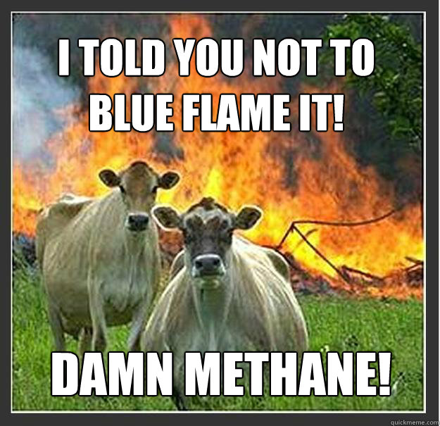 i told you not to
blue flame it!  damn methane!  Evil cows