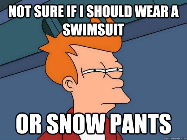 not sure if I should wear a swimsuit Or snow pants  Futurama Fry