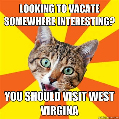 Looking to vacate somewhere interesting? You should visit West Virgina  Bad Advice Cat