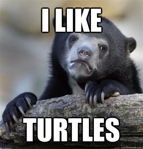 i like turtles  Confession Bear