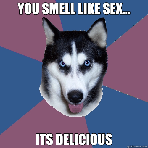 YOU SMELL LIKE SEX... ITS DELICIOUS  Creeper Canine