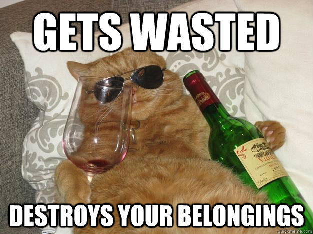 Gets wasted destroys your belongings  Party Cat